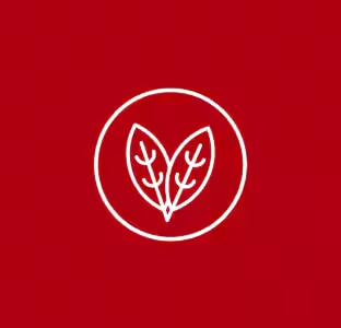 Ikon Vegan