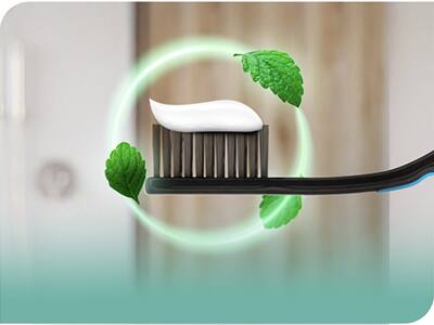 Mint flavor toothpaste Mint flavor toothpaste